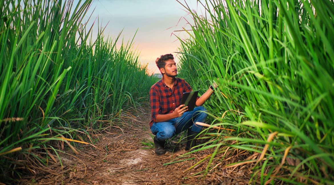 Agricultural engineering colleges in coimbatore, best agriculture college in coimbatore, Agricultural engineering colleges in coimbatore, agriculture college in coimbatore